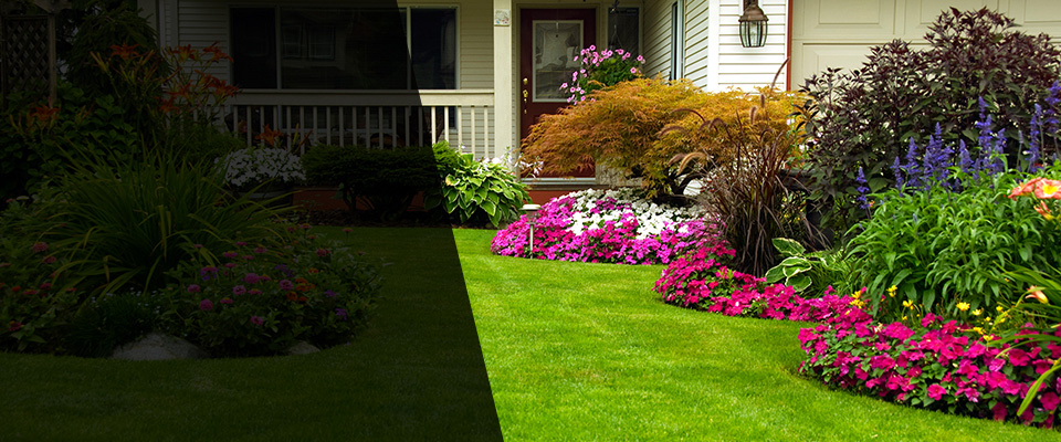 Shallowater Landscapers