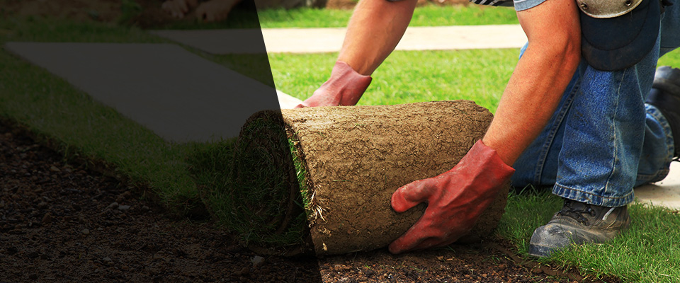 Shallowater Landscapers